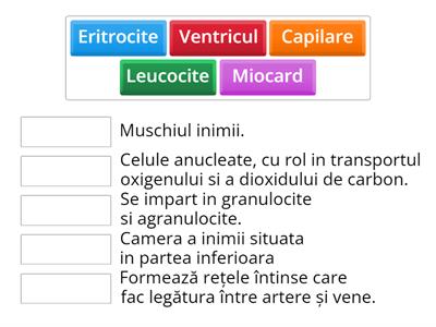 Activitate