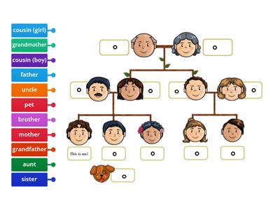 TB2-U1L1- Family tree