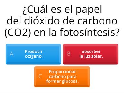 FOTOSÍNTESIS/NUTRICIÓN EN SERES VIVOS # 6