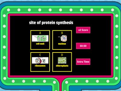 FFynone House Y7- introduction to cells: cell structure- cell parts and their functions (gameshow)