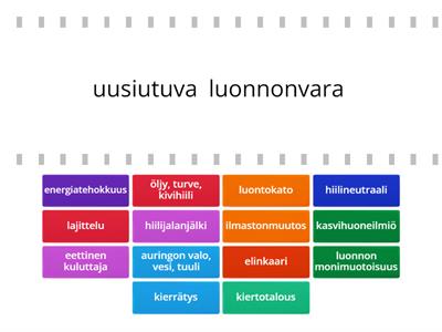 Kestävän kehityksen sanastoa