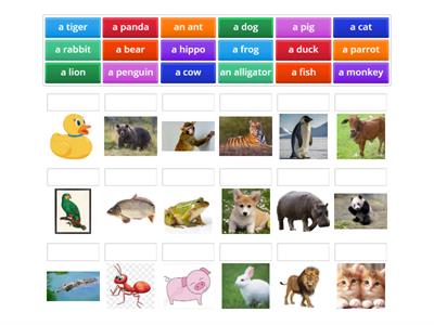 English 2: Animals