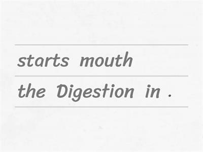 Digestion - The process