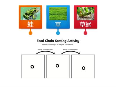 LKW 食物鏈