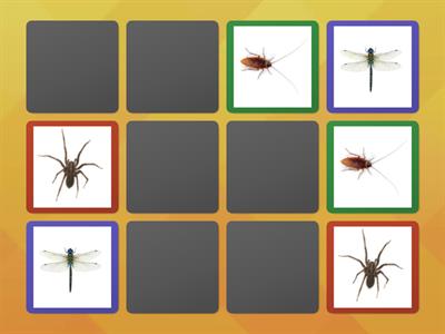 Bugs memory game
