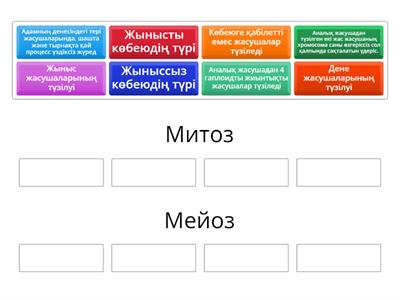  Митоз бен мейоз