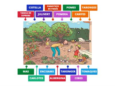 LÈXIC: TREBALLEM A L'HORT