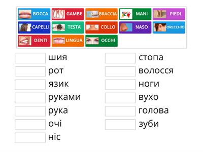 Attività L2 Italiano - Ucraino PARTI DEL CORPO
