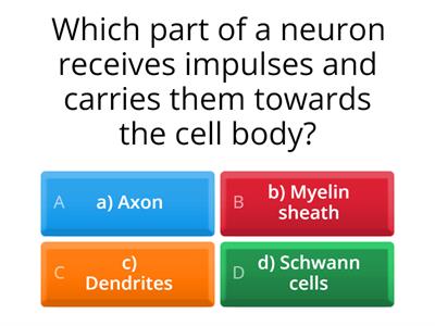 LC Biology - The Nervous System