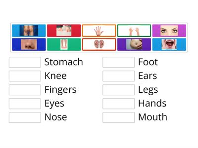 Match the Body Parts with the Pictures, Created by Mrs.Nutan