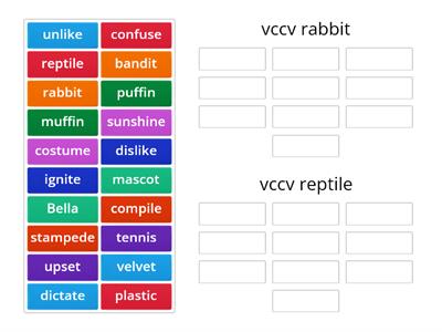   VCCV rabbit vs reptile words