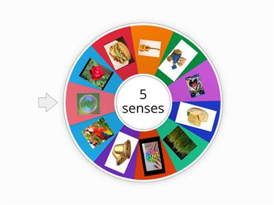 5 senses spin wheel