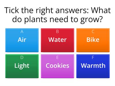 How do plants grow?