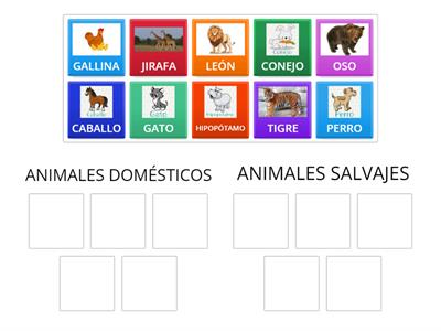 ANIMALES SALVAJES Y DOMÉSTICOS 