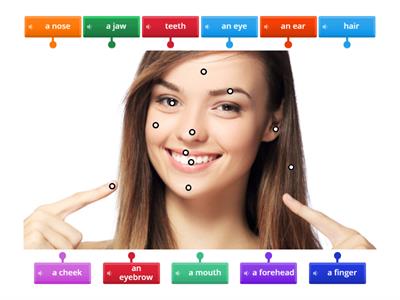 Parts of the body: face. What are these in English?