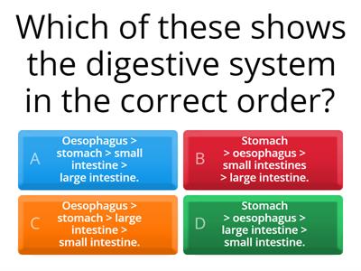 Science: Y4 Unit 1 Animals: Digestion and food AC