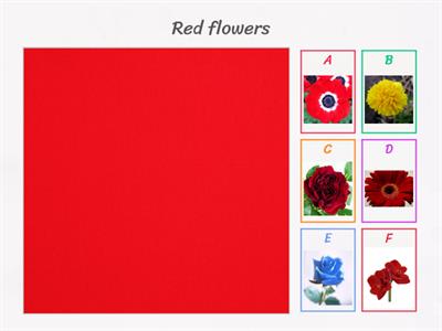 All types of flowers