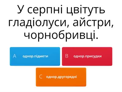 Визнач однорідні члени речення