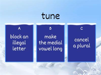 Final silent e function