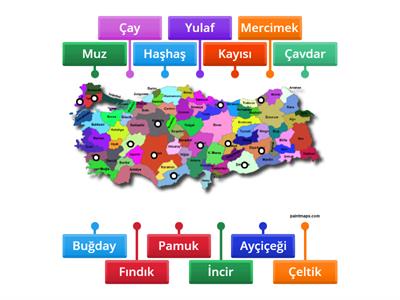 Aşağıda verilen Türkiye haritası ve tarım ürünlerinin yoğun olarak üretildiği şehirleri eşleştiriniz. 