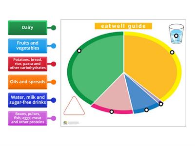 Balanced Diet Plate