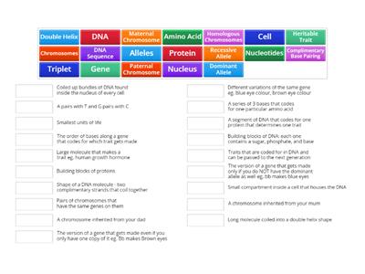 Genetics Terms 1