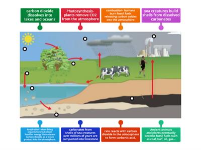 JC. The Carbon Cycle