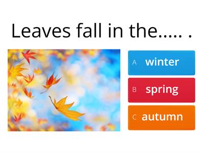 Seasons (complete the sentences)