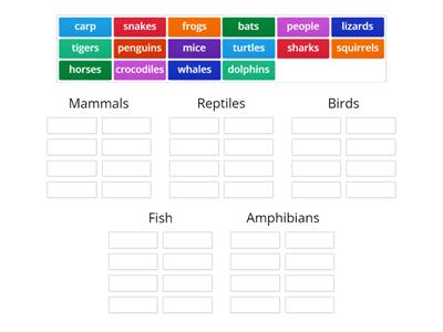 Project 2 Animal classification