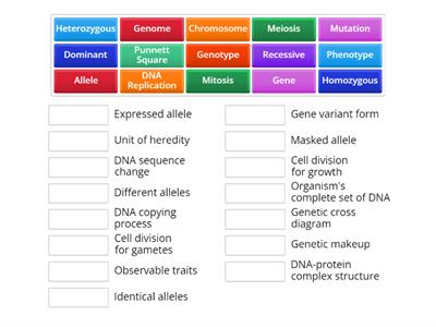 Genetics Vocabulary Match