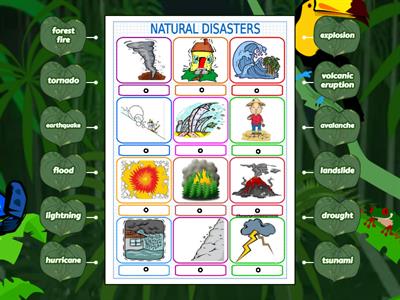 Natural Disasters 8 10