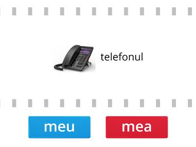 Al meu?  sau  a mea? 