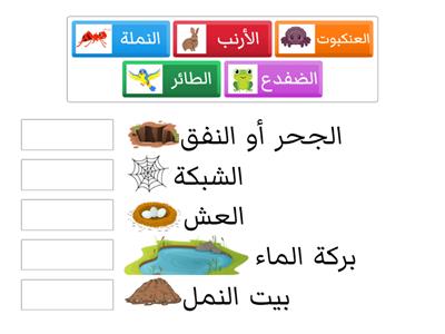 صنف الحيوانات التالية إلى منازلها