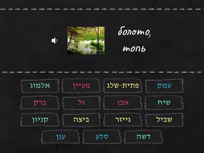 טבע 2 (find the match)