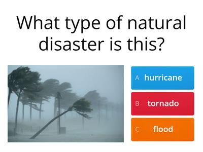 Y5 - Natural Disasters Review