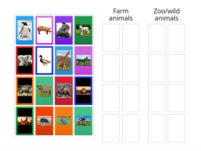 Farm and Wild animals