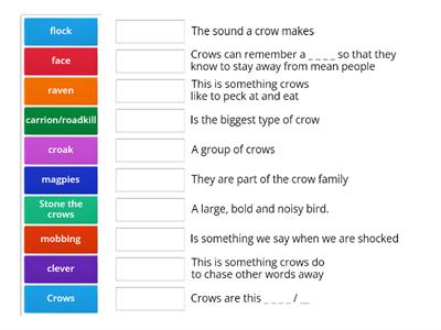 Match Up based around SW FactFile CROWS