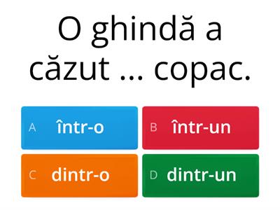 Completează spaţiile punctate cu termenii potriviţi: într-o, într-un, dintr-o, dintr-un