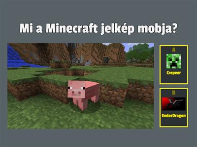 Minecraft kvíz