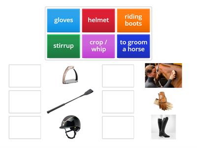 Horse riding competitions