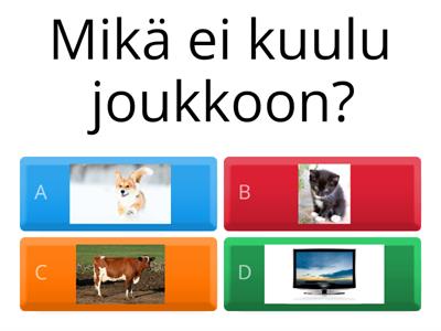 Mikä ei kuulu joukkoon? 