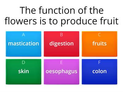 integrated science quiz 