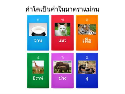 ภาษาไทย ป.2 มาตราตัวสะกด
