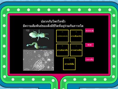 สื่อการสอนเรื่องความสัมพันธ์ระหว่างสิ่งมีชีวิตกับสิ่งมีชีวิต