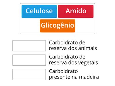 Carboidratos - Recursos De Ensino