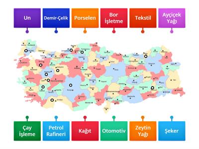 Türkiye Sanayi Faaliyetleri Eşleştirme