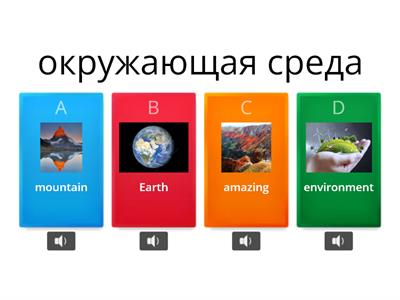 Environment  (quiz)