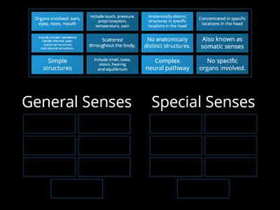 C09. Senses - General VS Special