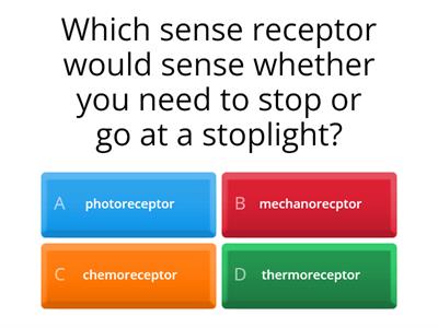 Sensory Receptors: Quiz Game 