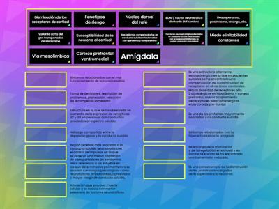 Actividad complementaria: Bases neurobiológicas del suicidio